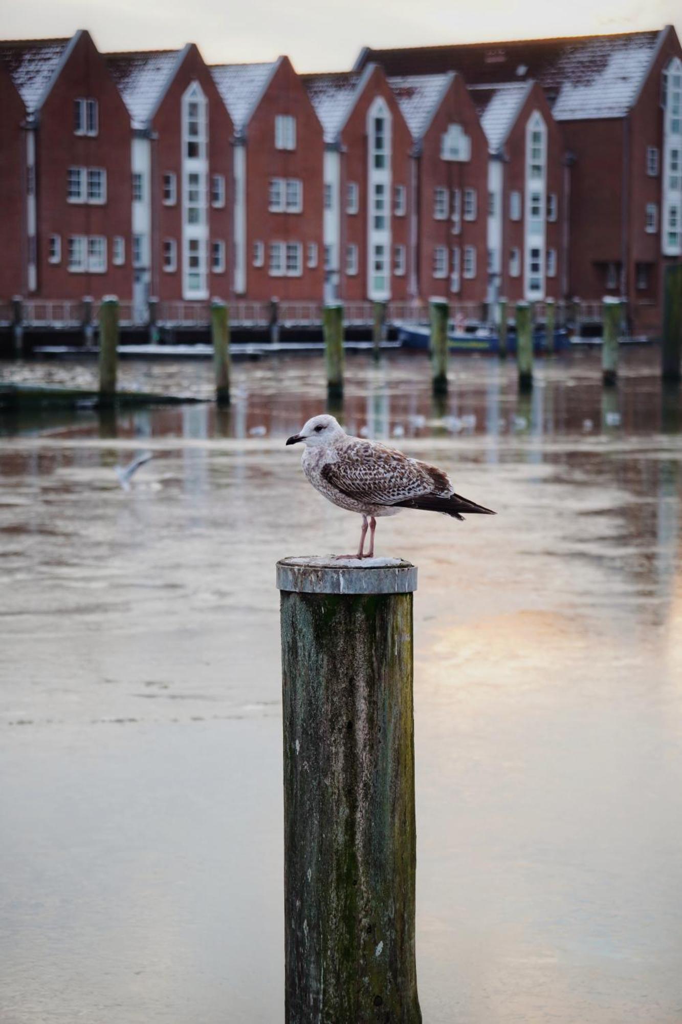 Ferienhus #1 Nordfriesland Apartment Mildstedt Luaran gambar